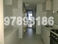 The Minton (D19), Condominium #162338722